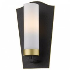 Cosmo Light sienas lampa Dublin цена и информация | Настенные светильники | 220.lv