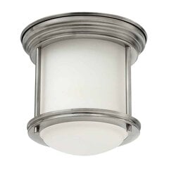 Elstead lighting потолочный светильник Hadrian цена и информация | Потолочные светильники | 220.lv