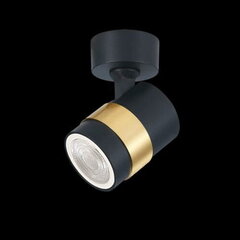 Light Prestige потолочный светильник Anillo цена и информация | Потолочные светильники | 220.lv