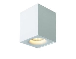 Lucide потолочный светильник Bento цена и информация | Потолочные светильники | 220.lv