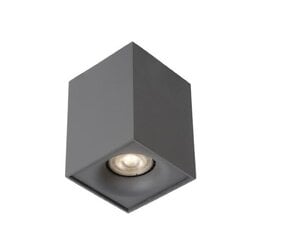 Lucide griestu lampa Bentoo цена и информация | Потолочные светильники | 220.lv