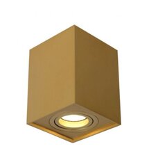 Lucide griestu lampa Tube цена и информация | Потолочные светильники | 220.lv