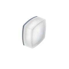 Orlicki Design griestu lampa Caps цена и информация | Потолочные светильники | 220.lv