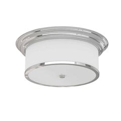 Orlicki Design griestu lampa Famburo цена и информация | Потолочные светильники | 220.lv