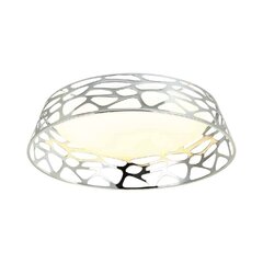 Orlicki Design griestu lampa Forina цена и информация | Потолочные светильники | 220.lv