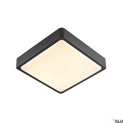 SLV griestu lampa Ainos цена и информация | Потолочные светильники | 220.lv