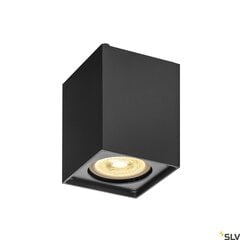 SLV griestu lampa Altra цена и информация | Потолочные светильники | 220.lv