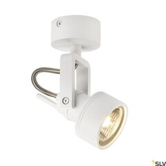 SLV griestu lampa Inda цена и информация | Потолочные светильники | 220.lv
