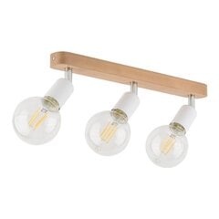 TK Lighting потолочный светильник Simply цена и информация | Потолочные светильники | 220.lv