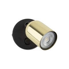 TK Lighting griestu lampa Top цена и информация | Потолочные светильники | 220.lv