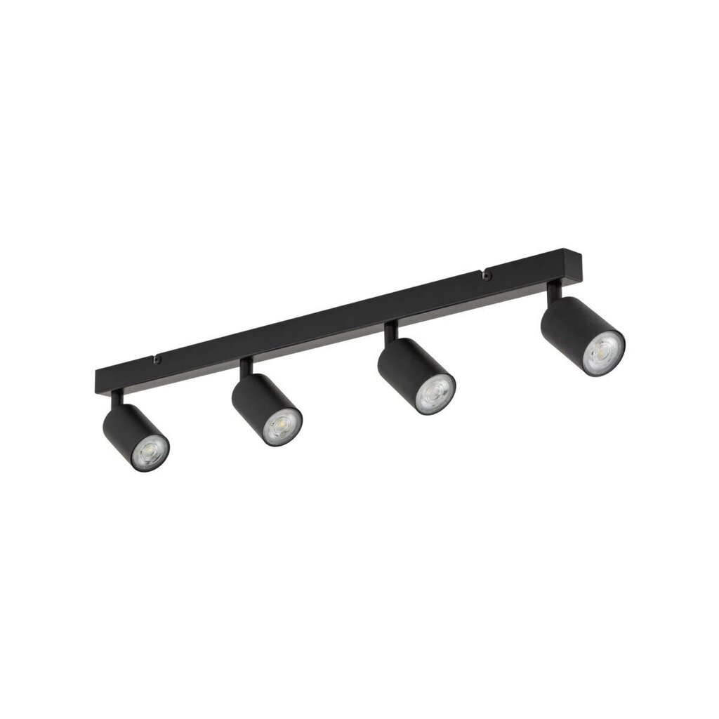 TK Lighting griestu lampa Top cena un informācija | Griestu lampas | 220.lv