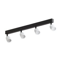 TK Lighting griestu lampa Top cena un informācija | Griestu lampas | 220.lv