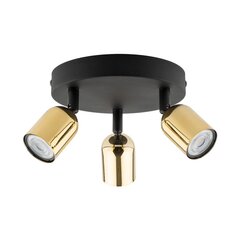 TK Lighting потолочный светильник Top цена и информация | Потолочные светильники | 220.lv