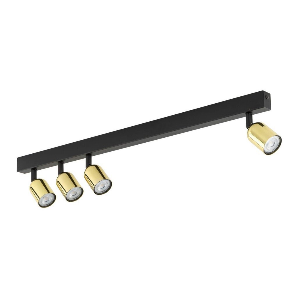 TK Lighting griestu lampa Top cena un informācija | Griestu lampas | 220.lv