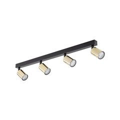 TK Lighting griestu lampa Top cena un informācija | Griestu lampas | 220.lv