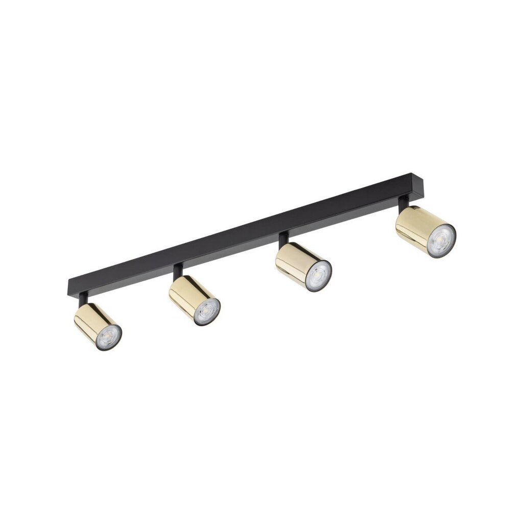 TK Lighting griestu lampa Top cena un informācija | Griestu lampas | 220.lv