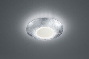Trio griestu lampa Chiros цена и информация | Потолочные светильники | 220.lv