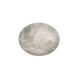 Trio потолочный светильник Lunar цена и информация | Потолочные светильники | 220.lv