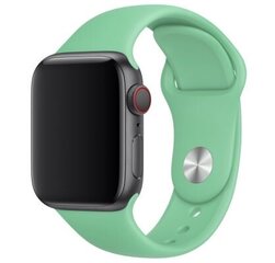Силиконовый ремешок Apple Watch 38/40/41 (S/M) - Spearmint цена и информация | Smart устройства и аксессуары | 220.lv