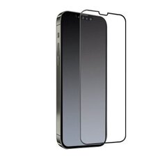 Защитное стекло для iPhone 13 Pro Max 6,7" цена и информация | Защитные пленки для телефонов | 220.lv