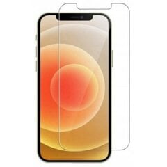 Защитное стекло для iPhone 12/12Pro на весь экран 6.1" цена и информация | Защитные пленки для телефонов | 220.lv