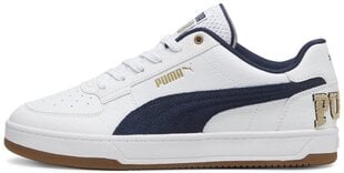 Puma Обувь Caven 2.0 Retro Club White Blue 395082 01 395082 01/9.5 цена и информация | Кроссовки мужские | 220.lv