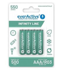 everActive EVHRL03-550 цена и информация | Аккумуляторы для фотокамер | 220.lv
