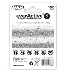 everActive EVHRL03-550 цена и информация | Аккумуляторы для фотокамер | 220.lv