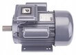 Vienfāzes elektromotors Powermat PM-JSE-3000T, 3kW 230V 2800RPM цена и информация | Elektrības ģeneratori | 220.lv