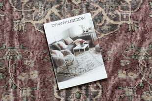 Rugsx paklājs Vintage 10169 163x266 cm cena un informācija | Paklāji | 220.lv