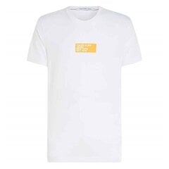 Calvin Klein Jeans T-krekls vīriešiem 8720108493154, balts цена и информация | Мужские футболки | 220.lv