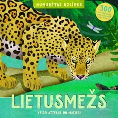 Lietusmežs. Veido attēlus un mācies. 300 daudzkārt lietojamas uzlīmes cena un informācija | Krāsojamās grāmatas | 220.lv