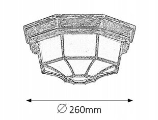 MILANO 8376 Rabalux 24H уличный потолочный светильник цена и информация | Уличное освещение | 220.lv