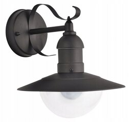 Настенный садовый светильник, Rabalux черный, E27, 60 Вт цена и информация | Уличное освещение | 220.lv