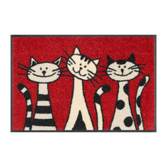 Kleen-Tex придверный коврик Three Cats 50х75 см цена и информация | Придверные коврики | 220.lv