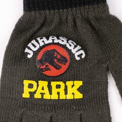 Cimdi zēniem Jurassic Park S0738096 cena un informācija | Cepures, cimdi, šalles zēniem | 220.lv