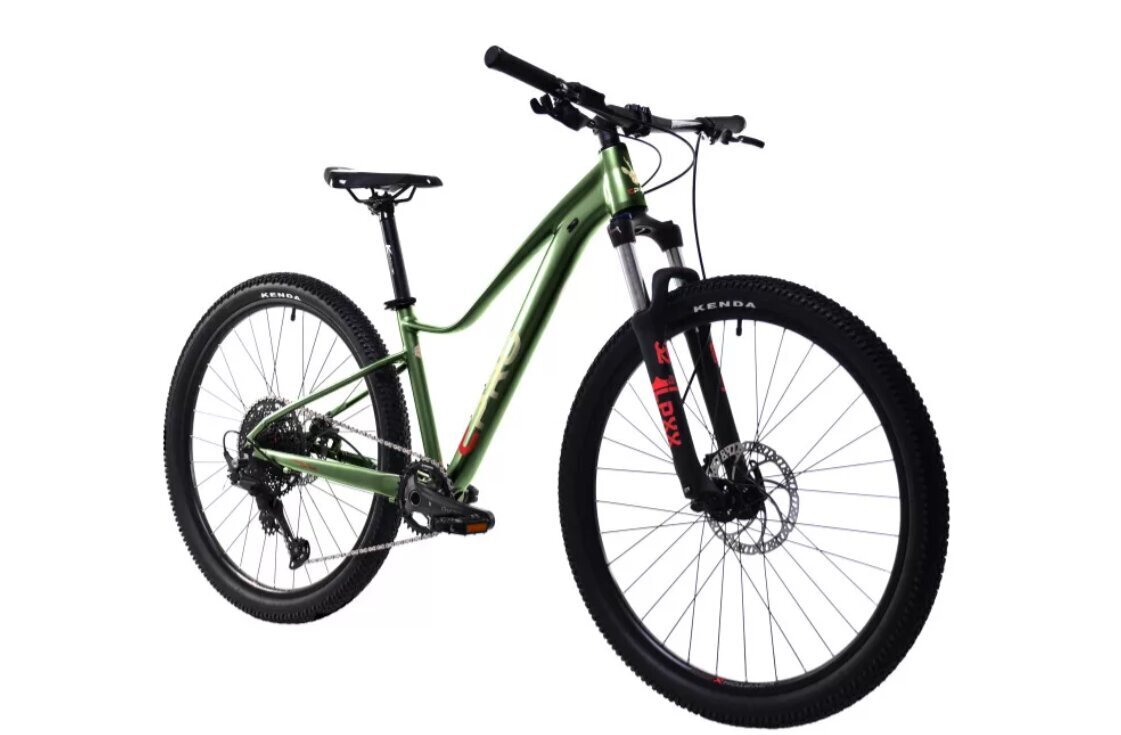 Kalnu velosipēds Cpro MTB-Al-Eve 29", zaļš cena un informācija | Velosipēdi | 220.lv