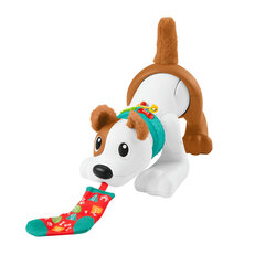 Interaktīvs suns Fisher Price My Puppy Crawls With Me цена и информация | Игрушки для девочек | 220.lv