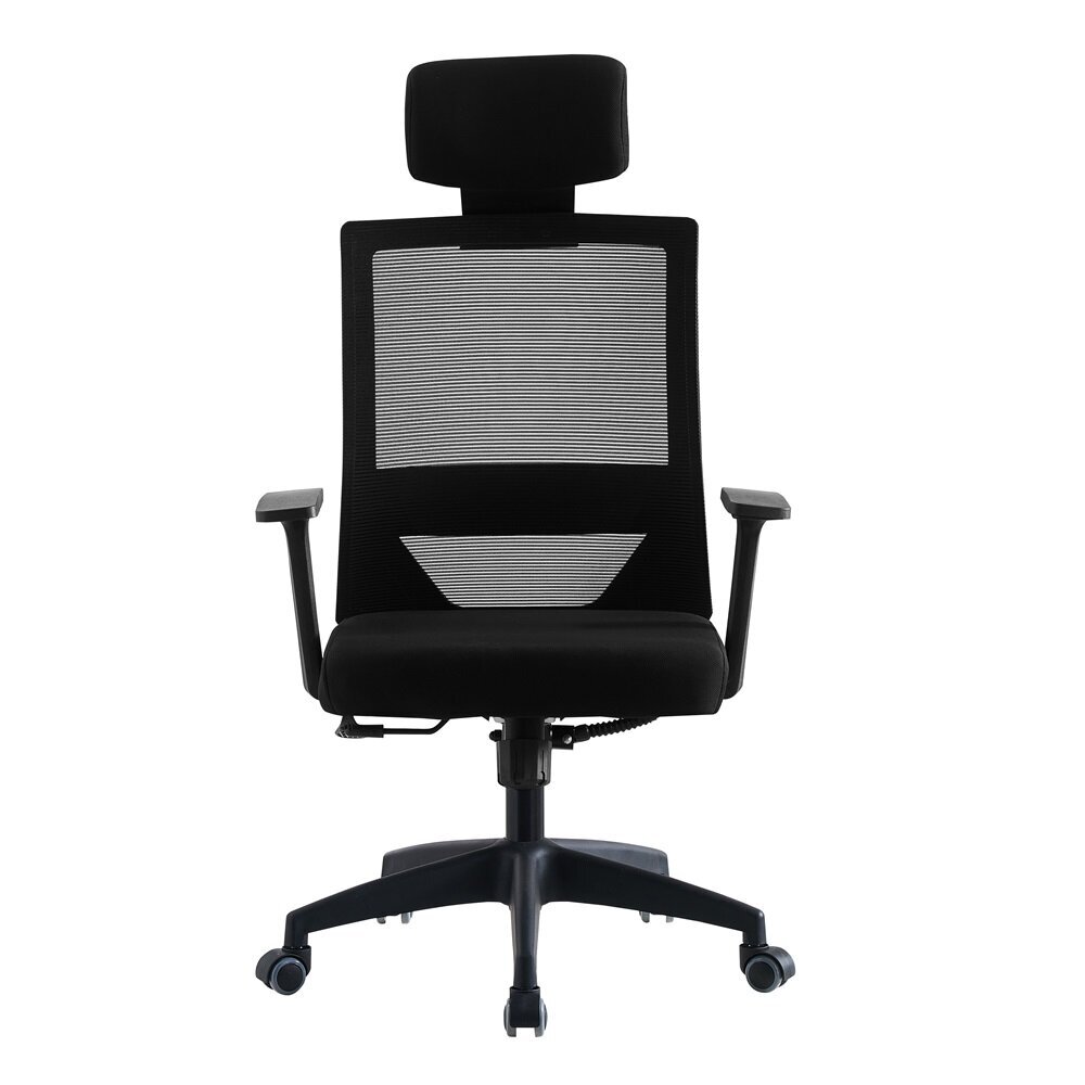 Biroja krēsls ErgoPlus ar galvas balstu cena un informācija | Biroja krēsli | 220.lv