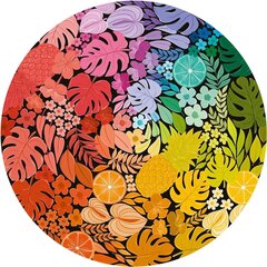 Puzle Ravensburger Circle of Colours - Tropical Circular, 500 d. cena un informācija | Puzles, 3D puzles | 220.lv