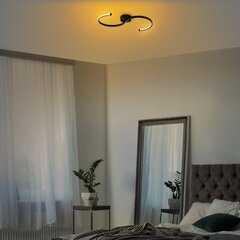 Griestu lampa Es-13583 цена и информация | Потолочные светильники | 220.lv