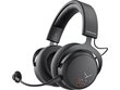 Beyerdynamic MMX 200 (730084) цена и информация | Austiņas | 220.lv