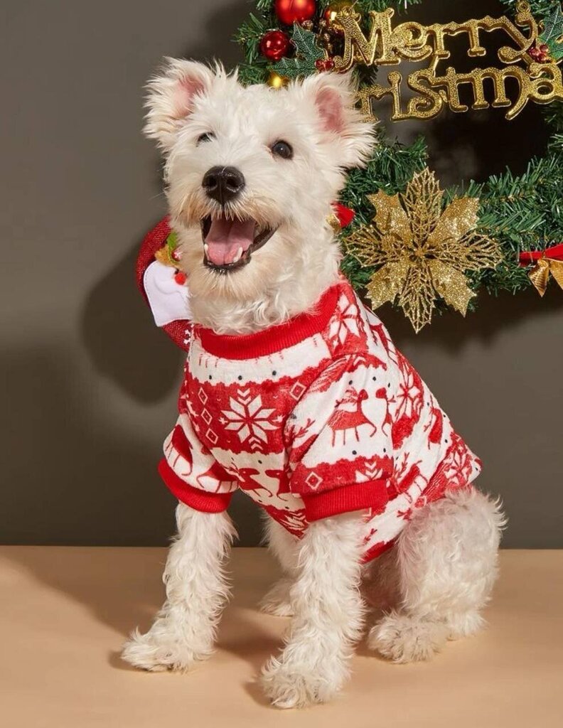 Ziemassvētku džemperis Electronics-22, S, sarkans cena un informācija | Apģērbi suņiem | 220.lv