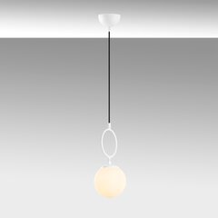 Piekaramā lampa Ring-13434 cena un informācija | Piekaramās lampas | 220.lv