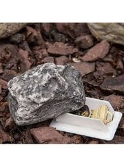 Mākslīgais akmenis atslēgu glabāšanai, Electronics LV-800, 1 gb cena un informācija | Dārza dekori | 220.lv