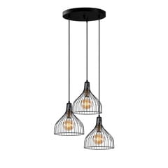 Piekaramā lampa Cafu-11565-2 cena un informācija | Lustras | 220.lv