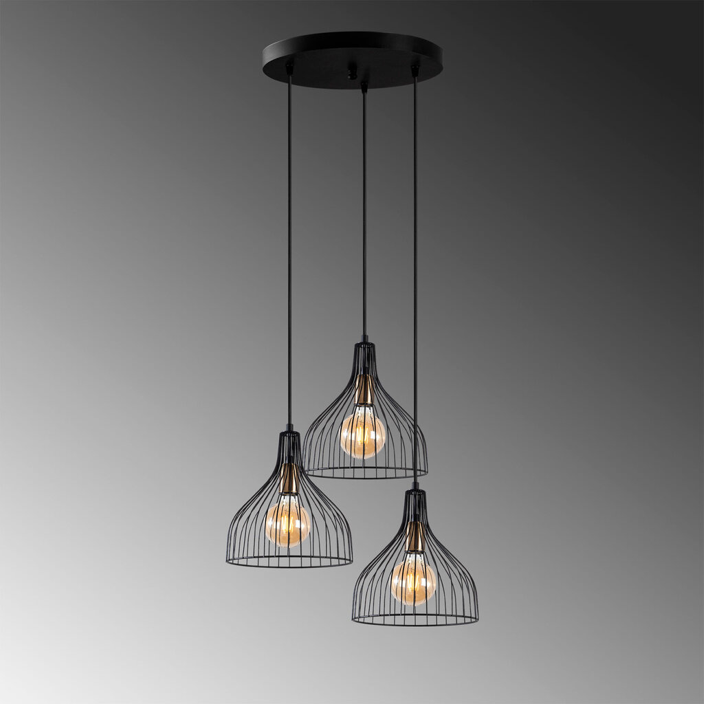 Piekaramā lampa Cafu-11565-2 cena un informācija | Lustras | 220.lv