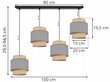 Piekaramā lampa, LightHome cena un informācija | Griestu lampas | 220.lv