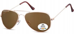 Мужские солнцезащитные очки UV Polarised Pilot Sunglasses Men's + Gratis MP94B цена и информация | Женские солнцезащитные очки | 220.lv