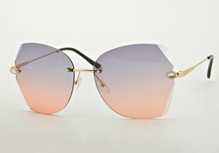 Saulesbrilles vīriešiem Fly Shaded cena un informācija | Saulesbrilles  vīriešiem | 220.lv